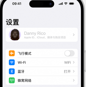 塘厦镇appleID维修服务iPhone设置中Apple ID显示为灰色无法使用 