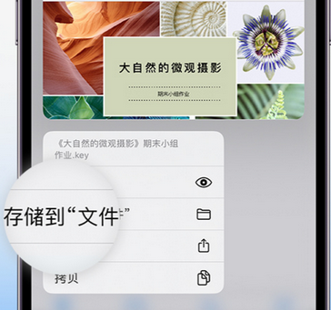 塘厦镇apple维修中心分享iPhone文件应用中存储和找到下载文件