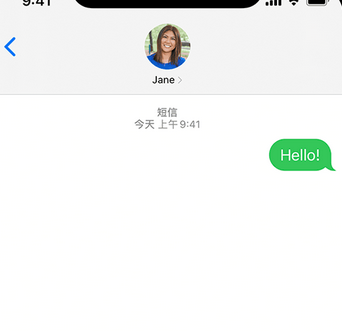 塘厦镇apple维修iPhone上无法正常发送iMessage信息