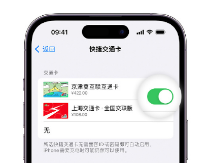 塘厦镇apple维修点分享iPhone上更换Apple Pay快捷交通卡手绘卡面 