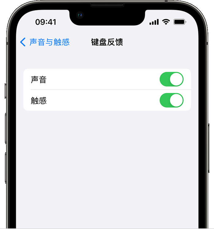 塘厦镇苹果14维修店分享如何在 iPhone 14 机型中使用触感键盘 