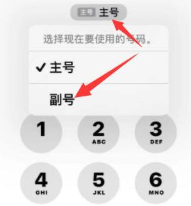 塘厦镇苹果14维修店分享iPhone 14 Pro Max使用副卡打电话的方法 