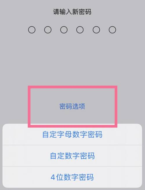 塘厦镇苹果14维修分享iPhone 14plus设置密码的方法 