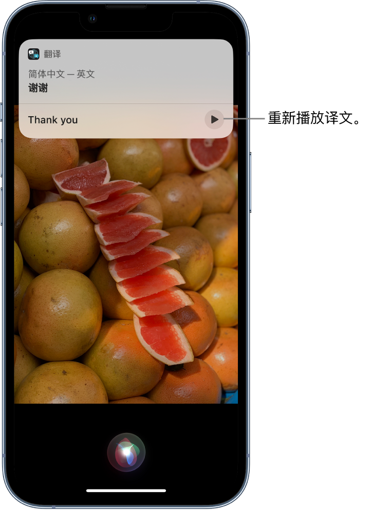 塘厦镇苹果14维修分享 iPhone 14 机型中使用 Siri：了解 Siri 能帮你做什么 