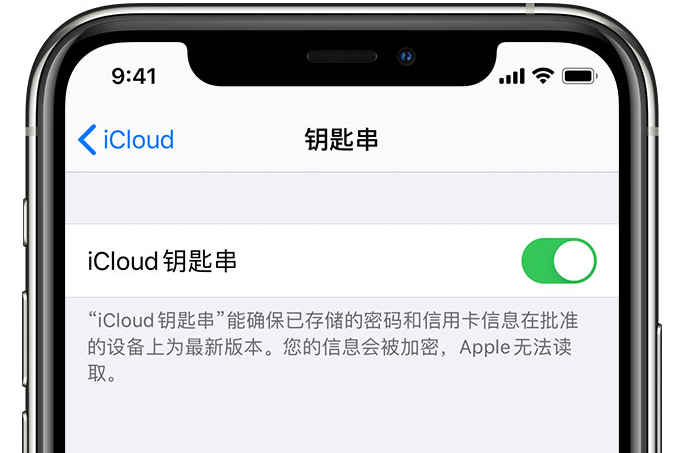 塘厦镇苹果手机维修分享在 iPhone 上开启 iCloud 钥匙串之后会储存哪些信息 