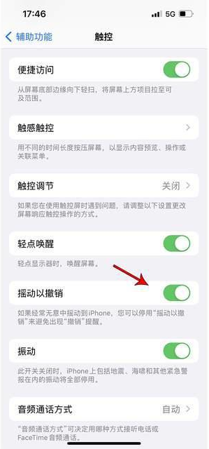 塘厦镇苹果手机维修分享iPhone手机如何设置摇一摇删除文字 